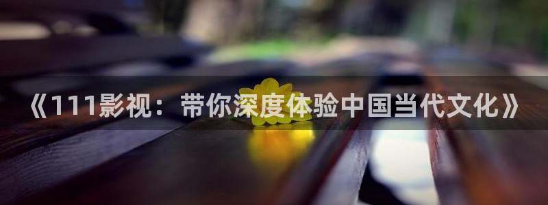 迅播电影：《111影视：带你深度体验中国当代文化》