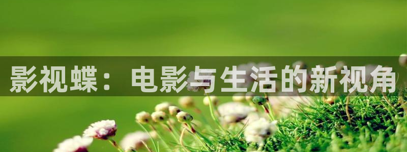 迅播影院下载：影视蝶：电影与生活的新视角