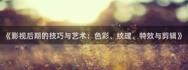迅播影院播放器下载：《影视后期的技巧与艺术：色彩、纹理、特效与剪辑》