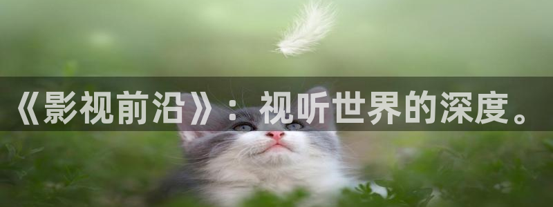 www.迅播影院：《影视前沿》：视听世界的深度。