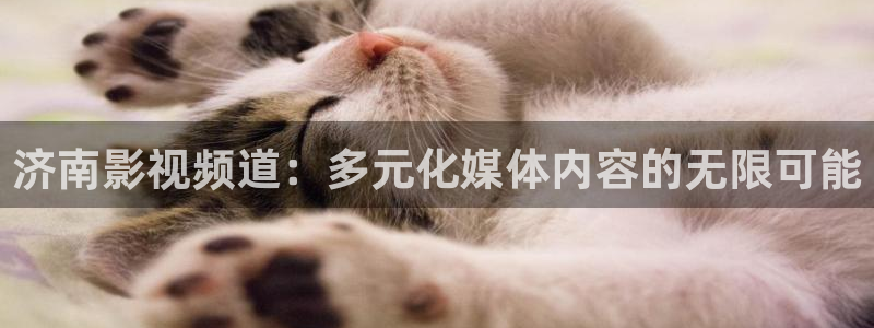 迅播影院下载：济南影视频道：多元化媒体内容的无限可能